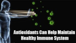 Importance of Antioxidants 