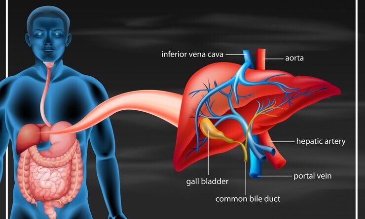 Hepatic Parenchymal Disease