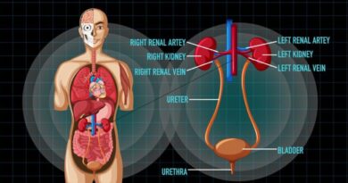 Kidney Stone Vs Uti