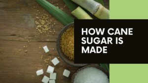 How is cane sugar made?